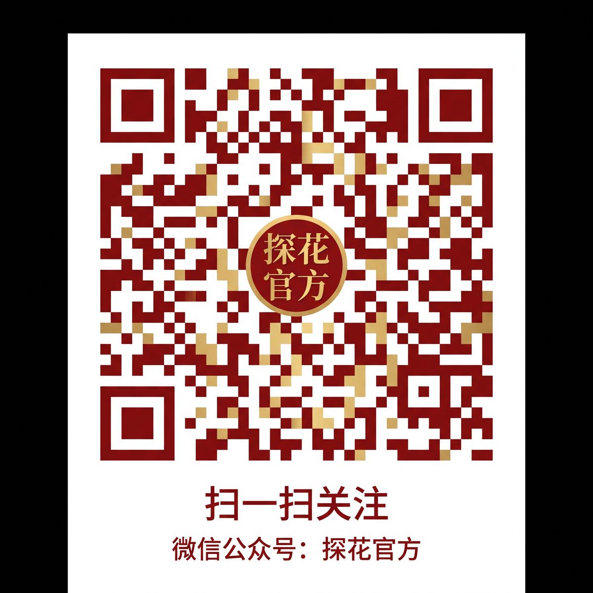 高清动漫公众号二维码